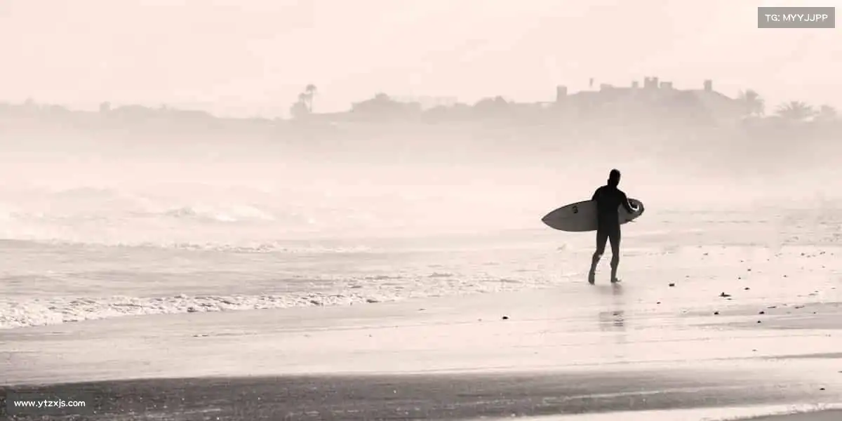 为什么选择我们